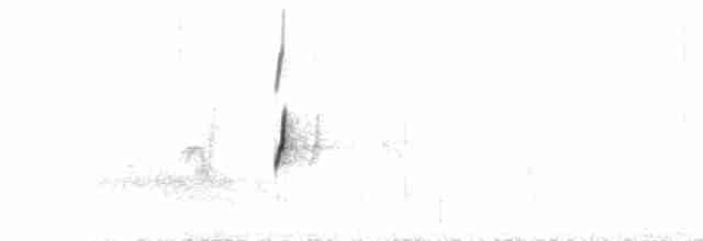Тёмный мухолов - ML267261611