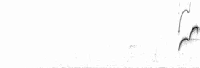 Batı Amerika Sinekkapanı (occidentalis/hellmayri) - ML267282521