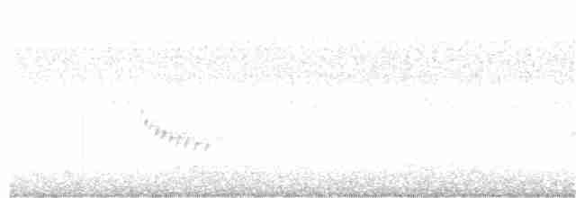 Каролинский крапивник - ML267301631