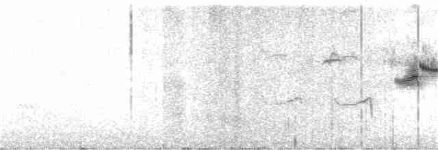 Белокрылая вдовка - ML267433141