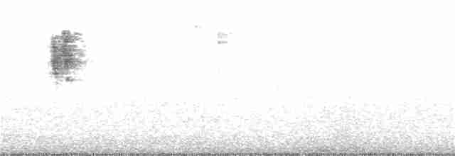 極北柳鶯 - ML267437651