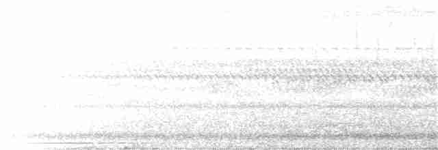 Bändernachtschwalbe - ML267470321