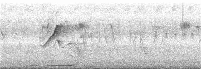 Длиннохвостая нектарница - ML267471261
