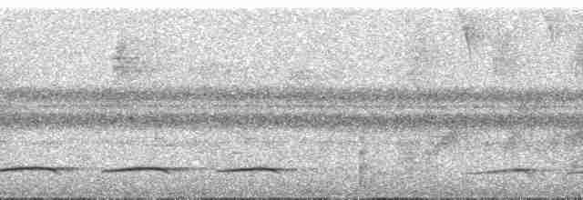gittermaurvarsler - ML267479