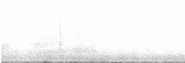 Black-bellied Plover - ML267483561