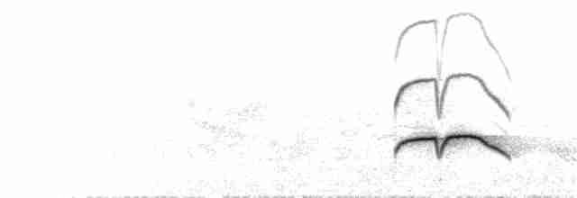 Boz Başlı Sinekkapan - ML267488201