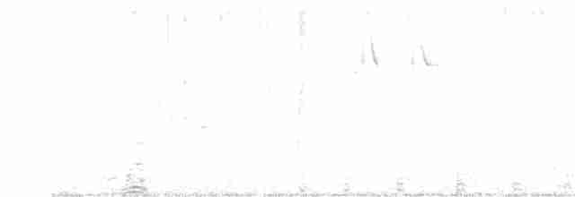 bramborníček černobílý - ML267495161
