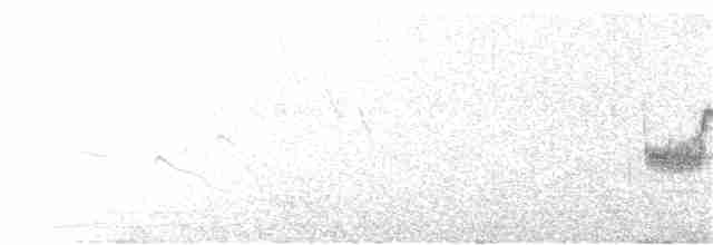 Пиренейский сорокопут - ML267531991