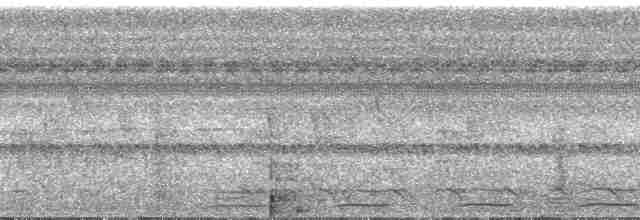 Black-tailed Trogon - ML267611