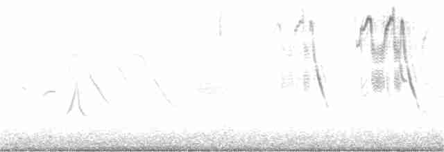 Band-tailed Sierra Finch - ML267627111