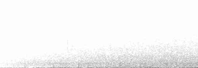 Тиранчик-довгохвіст білогорлий - ML267704