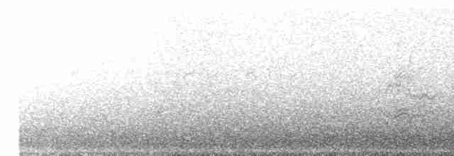 Band-winged Nightjar - ML267706