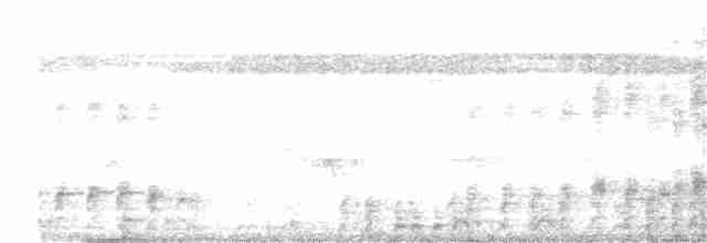 白腹秧雞 - ML267717331