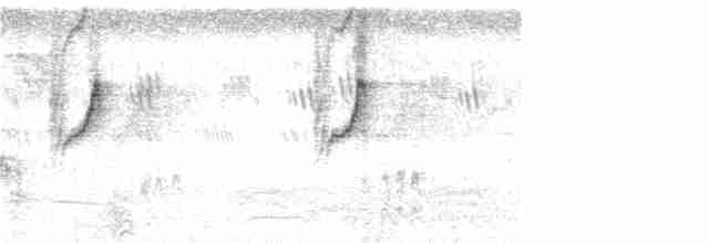 Атласная нектарница - ML267773631