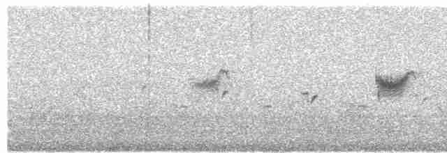 Iberian Gray Shrike - ML267885121