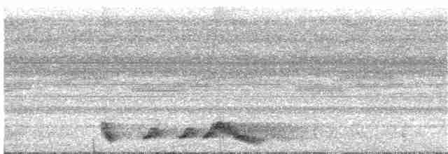 Rufous Nightjar - ML267928631