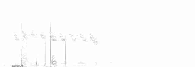 Black-crested Warbler - ML268087671