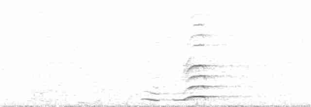 Nyctale de Tengmalm - ML268155931