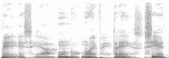 Тиранчик-мухолюб гострокрилий - ML268253