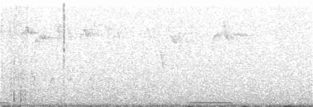 holub pestrokřídlý - ML268303431
