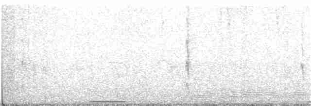 holub pestrokřídlý - ML268303511