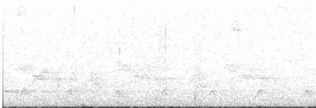 Серогрудый крапивник - ML268321211