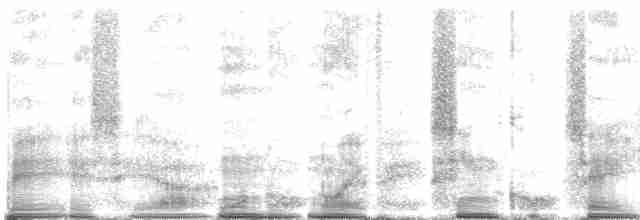 Hochland-Ameisenschlüpfer - ML268414