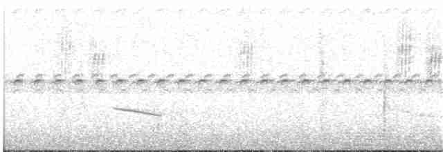 Зелоногрудый фиалкоух - ML268432561