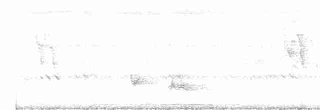 Greenish Warbler - ML268511041