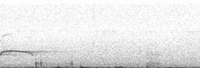 Орел-чубань чорний - ML268584
