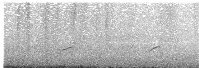 太平洋金斑鴴 - ML268660511
