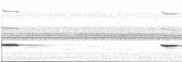 Striped Cuckoo - ML268700241