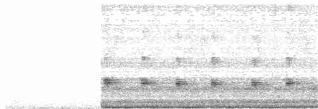 西方秧雞 - ML268745191