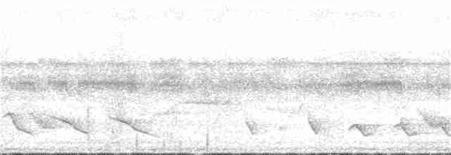 holub neotropický - ML268817641
