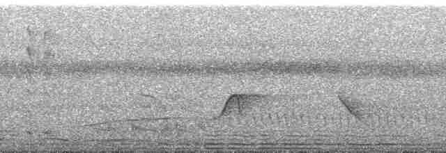 Green-tailed Goldenthroat - ML269045