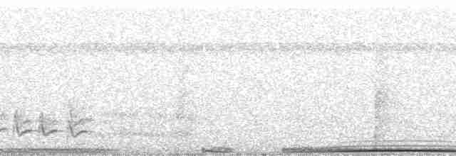 holub neotropický - ML269096