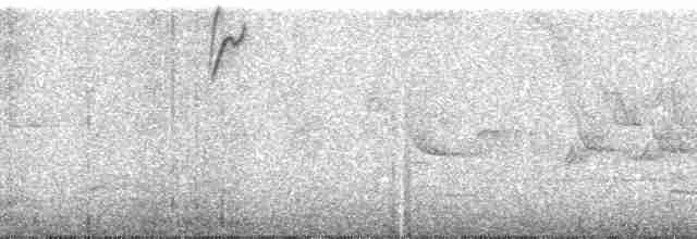 Lacrimose Mountain Tanager (lacrymosus) - ML26911