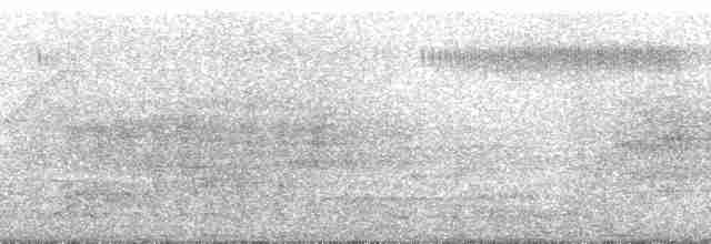 Weißscheitel-Olivtyrann - ML269148