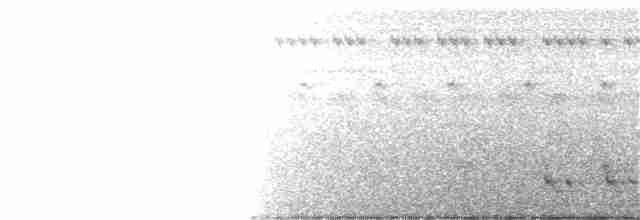 Philippine Nightjar - ML269164151