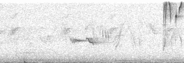 Lacrimose Mountain Tanager (lacrymosus) - ML26919