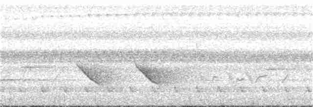 Long-tailed Broadbill - ML269217731