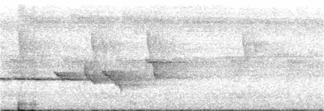 Schwarzring-Brillenvogel - ML269218161