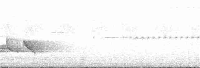 Schwarzring-Brillenvogel - ML269218171