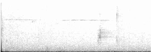 gulgumpedderkoppjeger - ML269219331