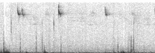 Alev Suratlı Tangara (parzudakii/urubambae) - ML26922