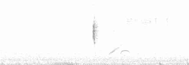 Euli-txori grisa - ML269297361
