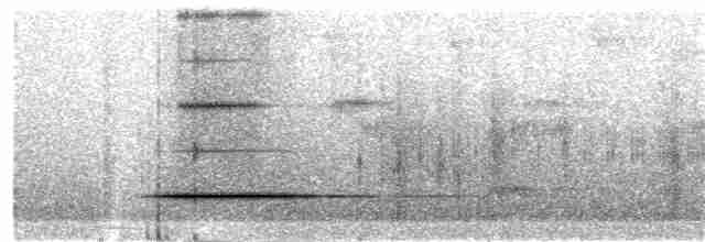 Cinereous Tinamou - ML269415711