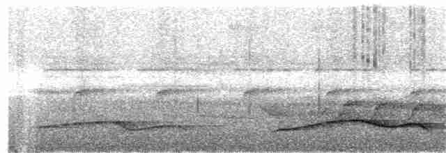 Rufous-tailed Flatbill - ML269415961