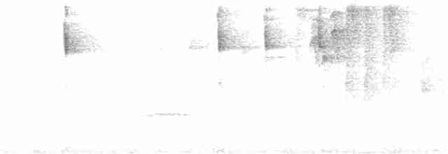 Common Chlorospingus - ML269442331