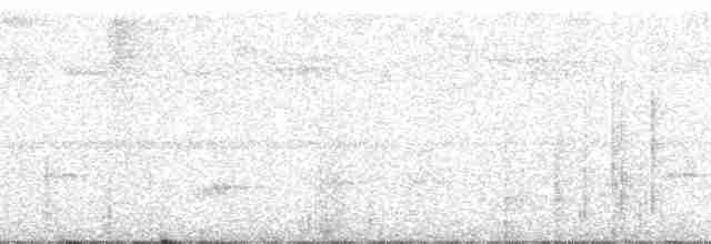 svartsolitærtrost - ML269510